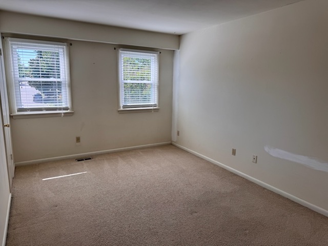 Gallery Photo 12